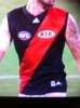 Essendon collar.jpg