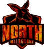 800px-North_Melbourne_FC_logo.png