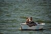 bear-dinghy-5618128.jpg