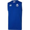 E547636_North-Melbourne-Kangaroos-2019-Mens-Training-Tank_1__781221561__73678.1590560253.jpg