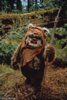 ewok.jpg