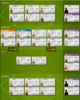 AFL Fantasy 2015 team 10.png