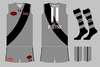 graphic_kit_afl_2022_ess_331_thirdpre.png