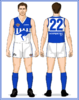 North-Melbourne-Uniform1996AS-Back.png