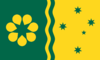 Australian Wattle new colours v1.png