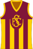 263px-Subiaco_Lions_Jumper.svg.png