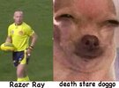 dirty look razor ray.jpg