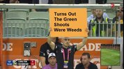 carlton game plan green shoots.jpg