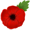 poppy-clipart-ww1-4.png