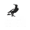 Magpies-logo-1-500x500.png