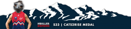 Cats2Rise.png