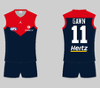 Melbourne Demons Home.png