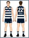 Geelong-Uniform2022C-Back.png