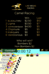 Camel Racing Poster.png