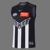 Collingwood-2023-Swooping.png