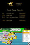 Duck Racing Poster.png