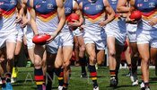 crows-sanfl.jpg