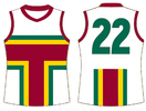 Tasmania Devils Away jersey concept 1.png