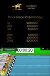 Duck Racing Poster.png