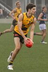 Vic Metro v WA-14.jpg