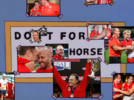HORSE-01.png