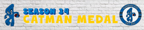 s34 catman banner.png