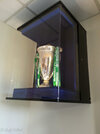 trophy-cabinet-for-bath-rugbys-heineken-cup-fitted-768x1024.jpg