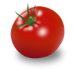 Tomato.png