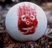 wilson-castaway_film_1024x1024.jpg