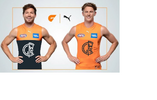 GWS Jumper.png