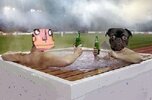 pugsley in hottube.jpg