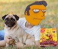 pug and tony.jpg