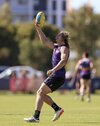 Fyfe.jpeg