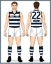 Geelong-Uniform1995GF-Back.png