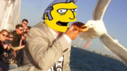 Party Gull stealing food.png