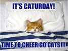 Caturday - Time to Cheer Go Cats-Small.jpg