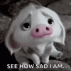 Sad Piggy.gif