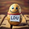 LDU Spud.jpg