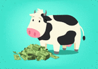 cash-cow.gif