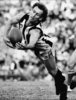 334952-peter-daicos.jpg