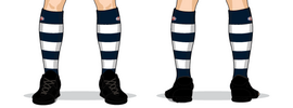 05-Geelong Home socks.png