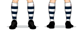 06-Geelong clash socks.png