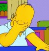 homer facepalm.jpg