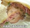 WILL HAMS.jpg