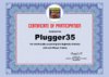 certificate plugger.jpg