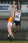 Pioneers v Cannons-66.jpg