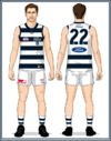 GEELONG 1.png