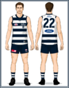 GEELONG 2.png