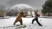 bears demons snowball fight.png