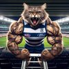 Geelong Cat - 2024JPG.JPG